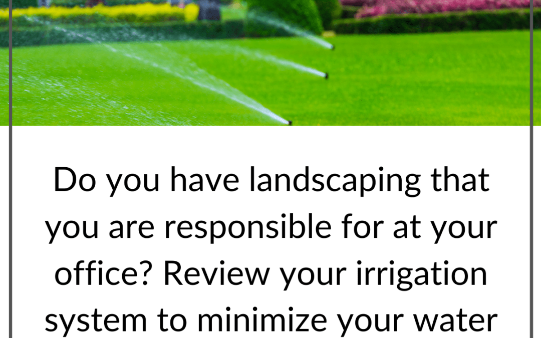 Irrigation System