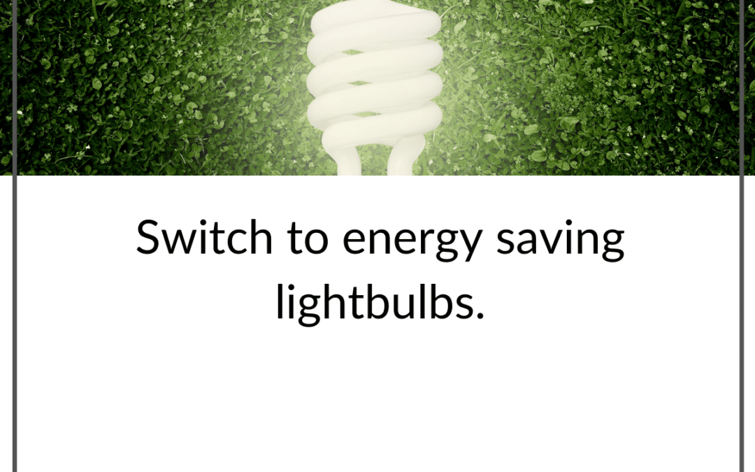 Energy Saving Lightbulbs