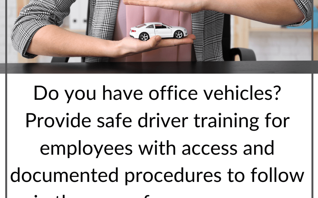 Provide Safe Driver Training