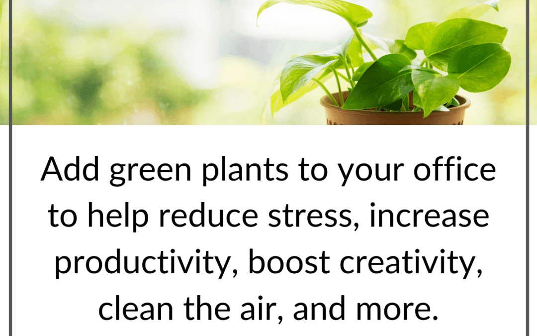 Plants in the Office (or Business)