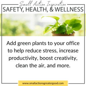 Small Actions Directory - How to Do Good Through Your Small Business 5 Plants in the Office (or Business)